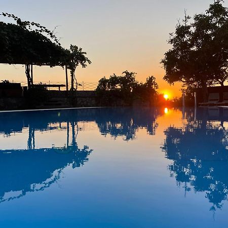 Villa Bikini On Sorrento Coast فيكو إيكوينس المظهر الخارجي الصورة