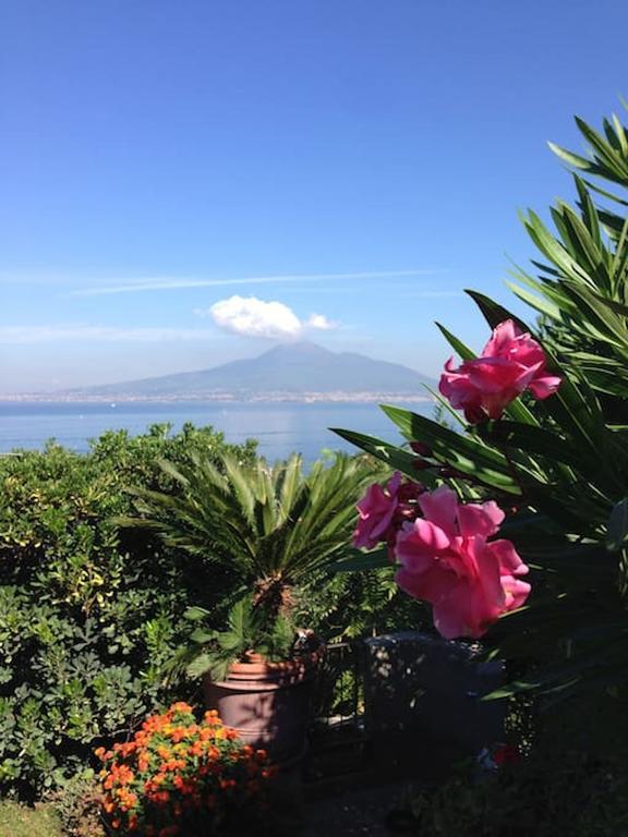 Villa Bikini On Sorrento Coast فيكو إيكوينس المظهر الخارجي الصورة