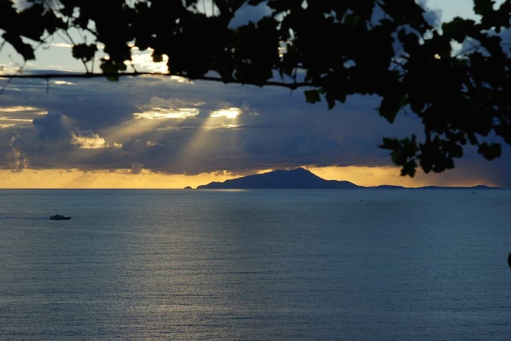 Villa Bikini On Sorrento Coast فيكو إيكوينس المظهر الخارجي الصورة