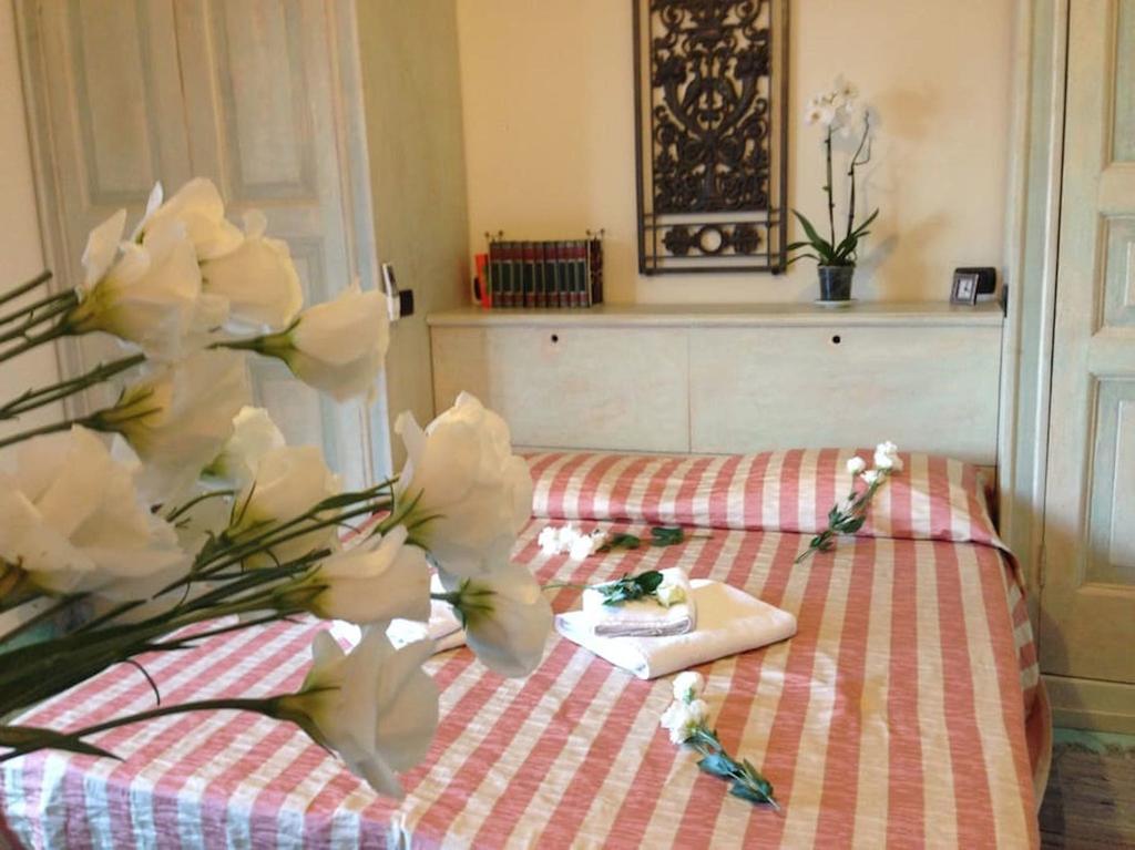 Villa Bikini On Sorrento Coast فيكو إيكوينس المظهر الخارجي الصورة
